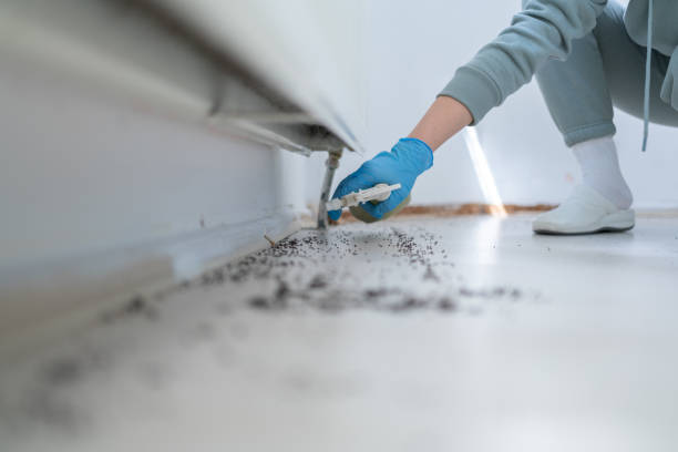 Best Residential Pest Control  in Faxon, PA